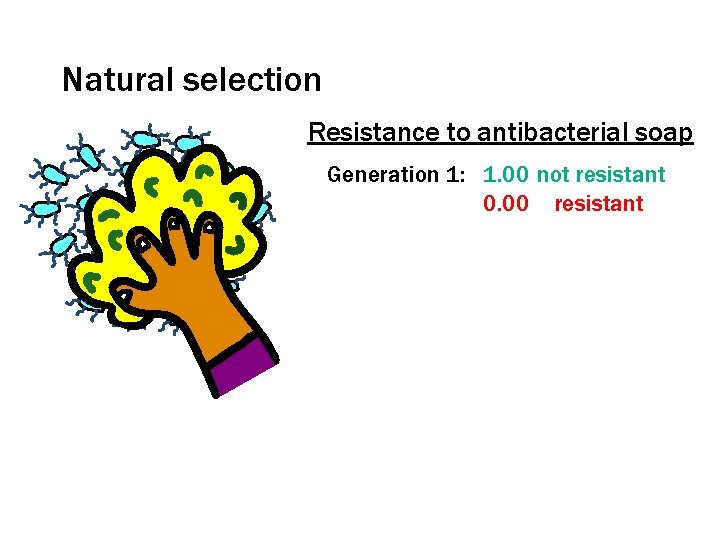 Natural selection Resistance to antibacterial soap Generation 1: 1. 00 not resistant 0. 00