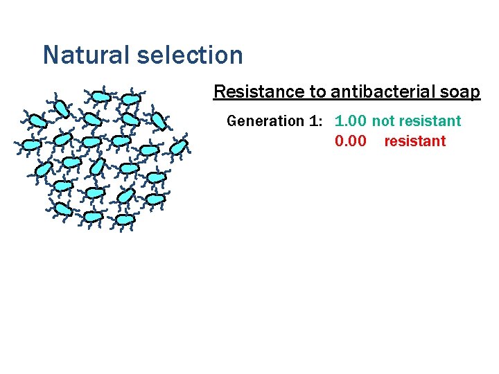 Natural selection Resistance to antibacterial soap Generation 1: 1. 00 not resistant 0. 00