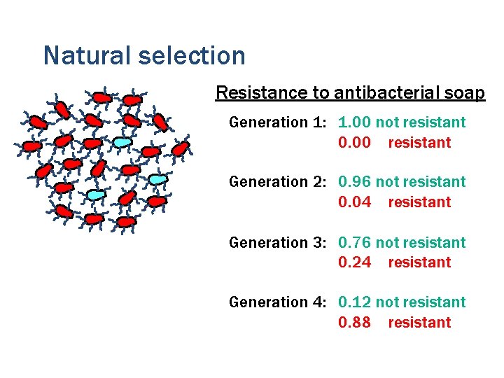 Natural selection Resistance to antibacterial soap Generation 1: 1. 00 not resistant 0. 00