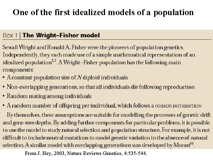 One of the first idealized models of a population From J. Hey, 2003, Nature