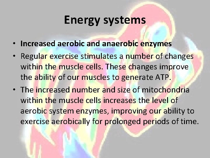 Energy systems • Increased aerobic and anaerobic enzymes • Regular exercise stimulates a number