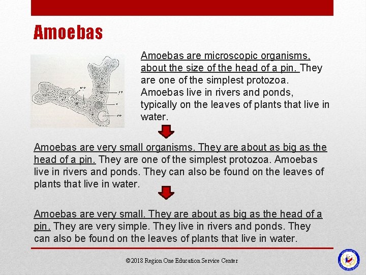 Amoebas are microscopic organisms, about the size of the head of a pin. They