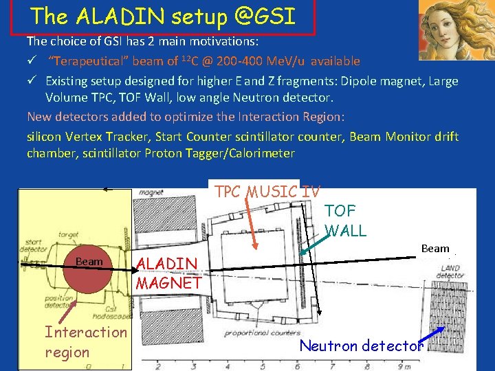 The ALADIN setup @GSI The choice of GSI has 2 main motivations: “Terapeutical” beam