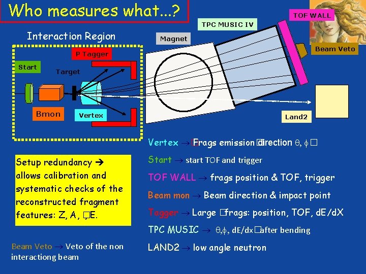 Who measures what. . . ? Interaction Region TOF WALL TPC MUSIC IV Magnet