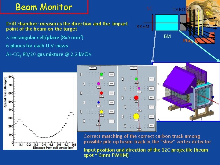 Beam Monitor SC Drift chamber: measures the direction and the impact point of the