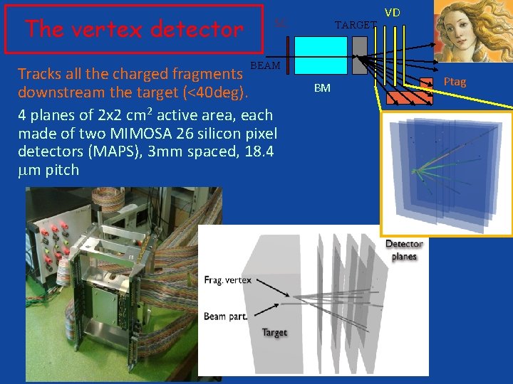 The vertex detector SC TARGET VD BEAM Tracks all the charged fragments downstream the