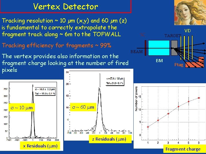 Vertex Detector Tracking resolution ~ 10 µm (x, y) and 60 µm (z) is