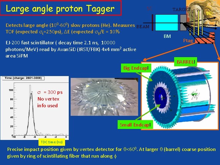 Large angle proton Tagger SC Detects large angle (100 -600) slow protons (He). Measures