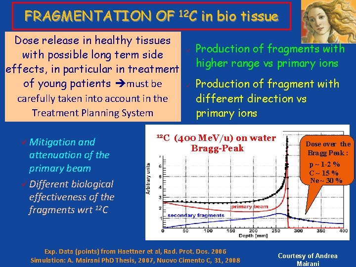 FRAGMENTATION OF 12 C in bio tissue Dose release in healthy tissues with possible