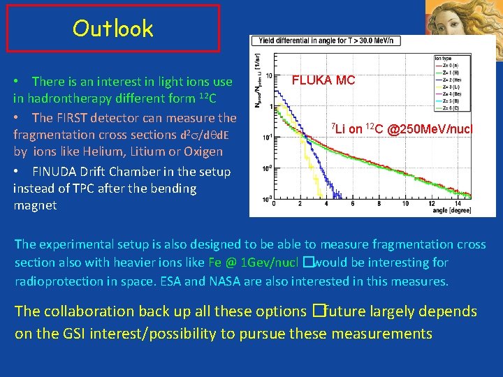 Outlook • There is an interest in light ions use in hadrontherapy different form