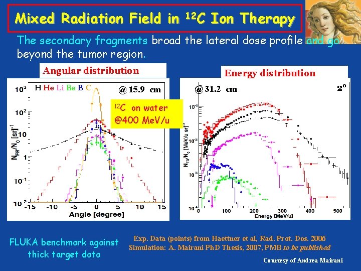 Mixed Radiation Field in 12 C Ion Therapy The secondary fragments broad the lateral