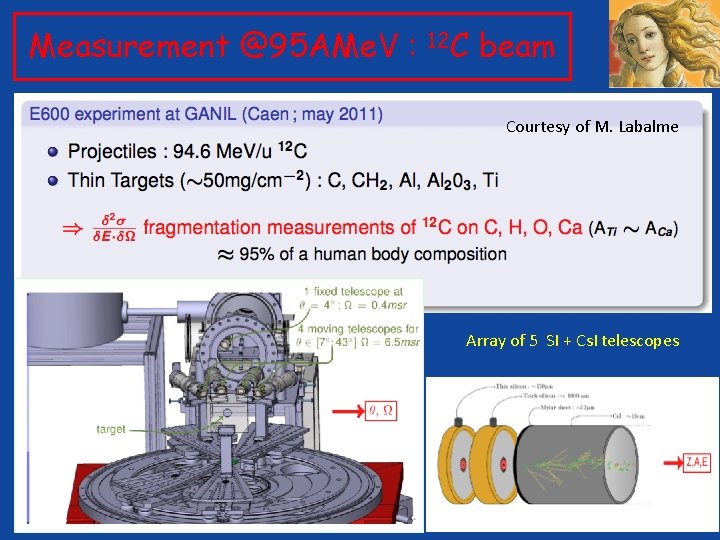 Measurement @95 AMe. V : 12 C beam Courtesy of M. Labalme Array of