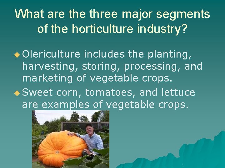 What are three major segments of the horticulture industry? u Olericulture includes the planting, What are three major segments of the horticulture industry? u Olericulture includes the planting,