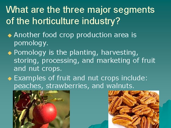 What are three major segments of the horticulture industry? Another food crop production area