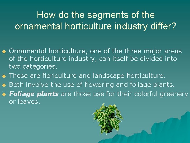 How do the segments of the ornamental horticulture industry differ? u u Ornamental horticulture,