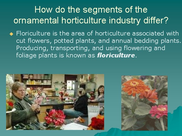 How do the segments of the ornamental horticulture industry differ? u Floriculture is the