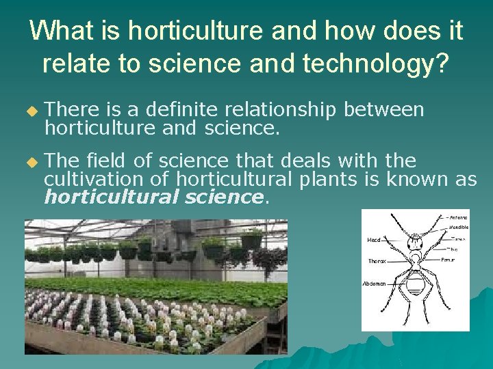 What is horticulture and how does it relate to science and technology? u u