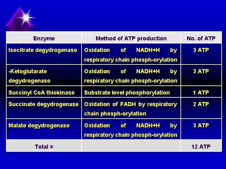 Enzyme Isocitrate degydrogenase Method of ATP production Oxidation of NADH+H No. of ATP by