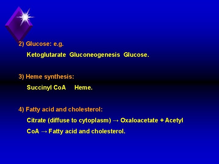 2) Glucose: e. g. Ketoglutarate Gluconeogenesis Glucose. 3) Heme synthesis: Succinyl Co. A Heme.