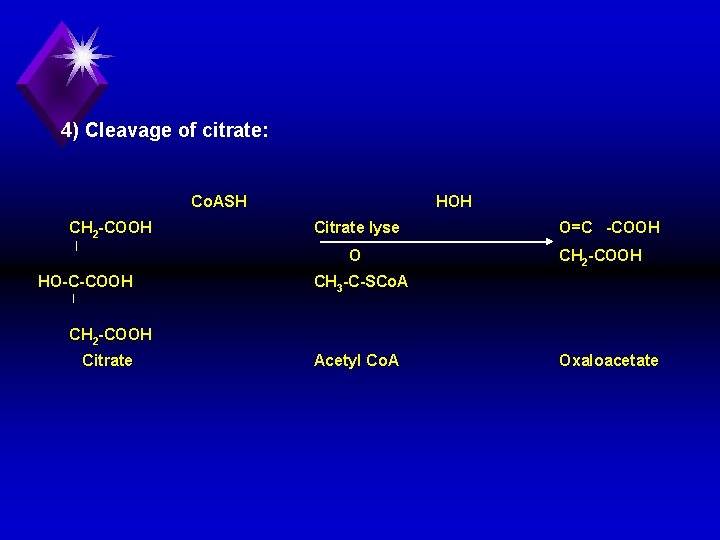 4) Cleavage of citrate: Co. ASH CH 2 COOH HOH Citrate lyse O HO