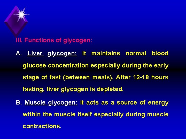 III. Functions of glycogen: A. Liver glycogen: It maintains normal blood glucose concentration especially