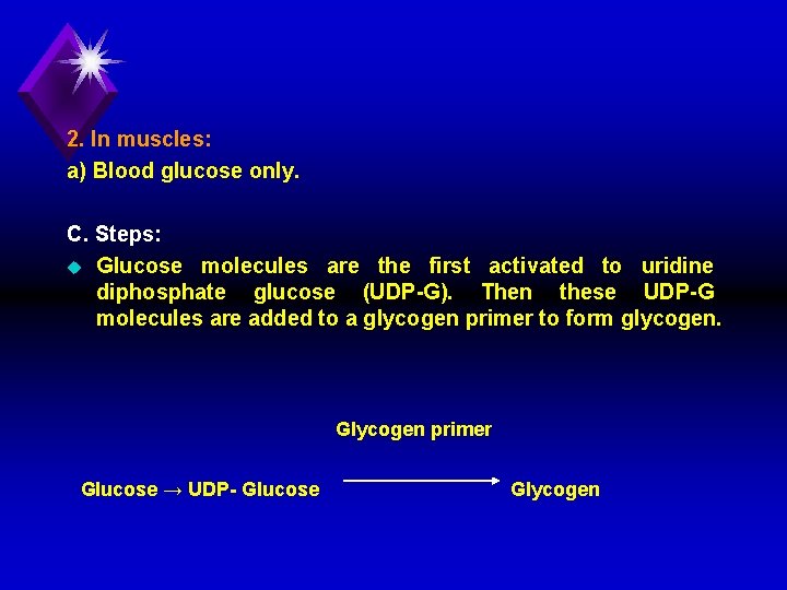 2. In muscles: a) Blood glucose only. C. Steps: u Glucose molecules are the