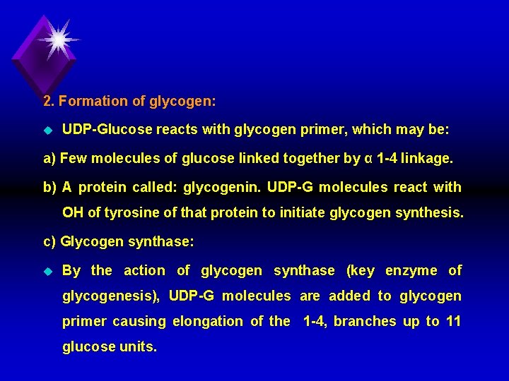 2. Formation of glycogen: u UDP Glucose reacts with glycogen primer, which may be: