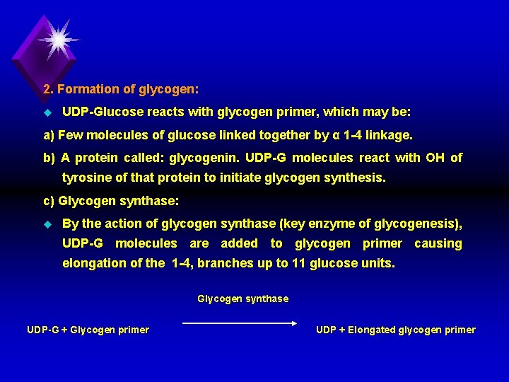 2. Formation of glycogen: u UDP Glucose reacts with glycogen primer, which may be: