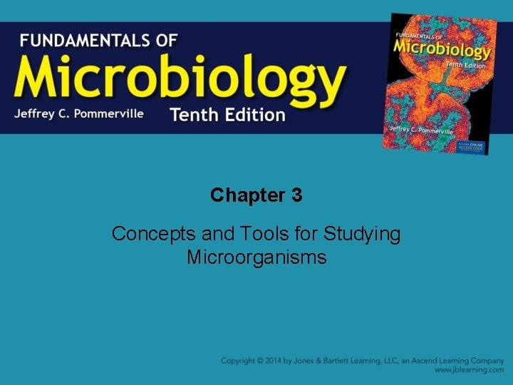 Chapter 3 Concepts and Tools for Studying Microorganisms 