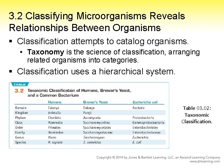 3. 2 Classifying Microorganisms Reveals Relationships Between Organisms § Classification attempts to catalog organisms.