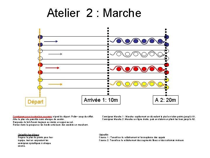 Atelier 2 : Marche Départ Arrivée 1: 10 m Consignes pour toutes les courses: