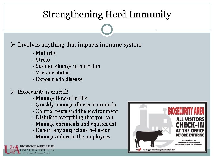 Strengthening Herd Immunity Ø Involves anything that impacts immune system - Maturity - Stress
