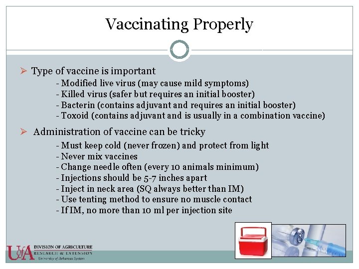 Vaccinating Properly Ø Type of vaccine is important - Modified live virus (may cause
