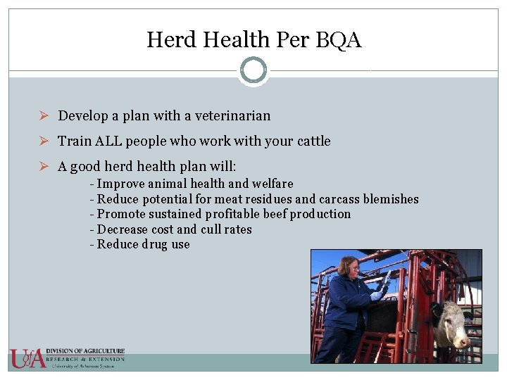 Herd Health Per BQA Ø Develop a plan with a veterinarian Ø Train ALL