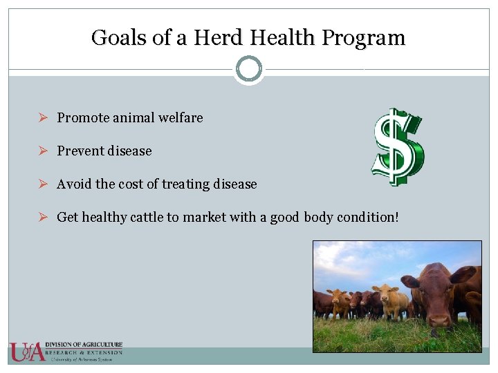 Goals of a Herd Health Program Ø Promote animal welfare Ø Prevent disease Ø