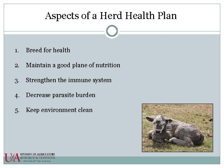 Aspects of a Herd Health Plan 1. Breed for health 2. Maintain a good