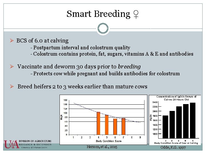 Smart Breeding ♀ Ø BCS of 6. 0 at calving - Postpartum interval and