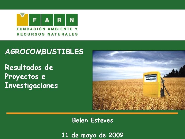 AGROCOMBUSTIBLES Resultados de Proyectos e Investigaciones Belen Esteves 11 de mayo de 2009 