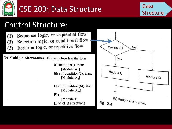 CSE 203: Data Structure Control Structure: Data Structure 
