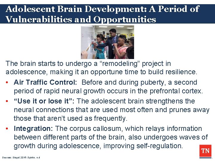 Adolescent Brain Development: A Period of Vulnerabilities and Opportunities The brain starts to undergo