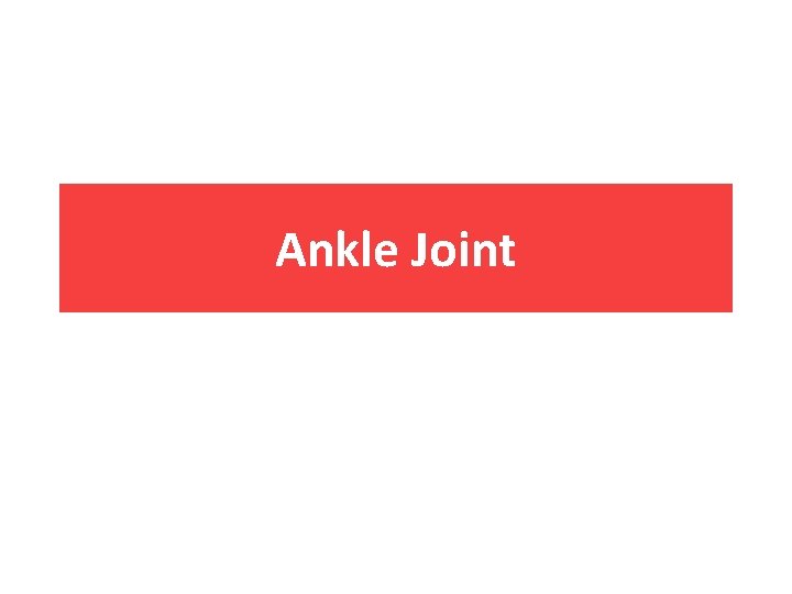 Ankle Joint 