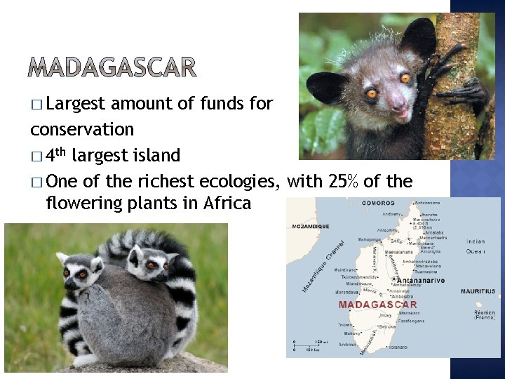 � Largest amount of funds for conservation � 4 th largest island � One