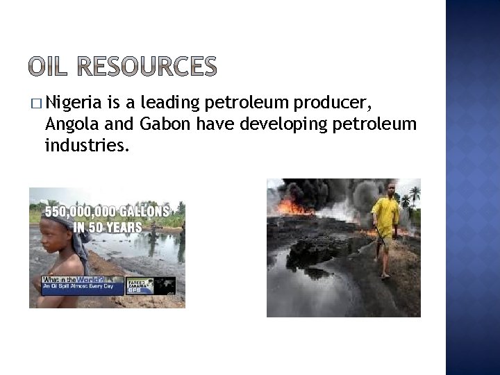 � Nigeria is a leading petroleum producer, Angola and Gabon have developing petroleum industries.