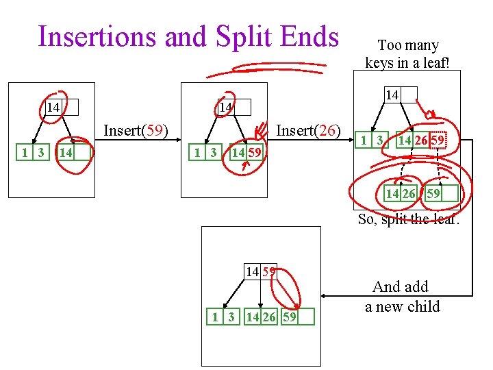 Insertions and Split Ends 14 14 14 Insert(26) Insert(59) 1 3 14 Too many