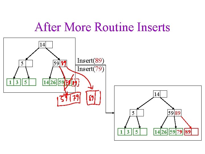 After More Routine Inserts 14 5 1 3 5 59 Insert(89) Insert(79) 14 26