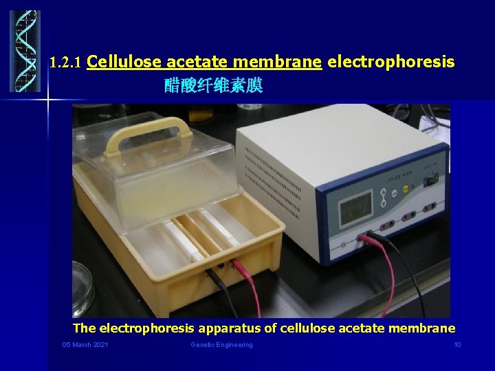 1. 2. 1 Cellulose acetate membrane electrophoresis 醋酸纤维素膜 The electrophoresis apparatus of cellulose acetate