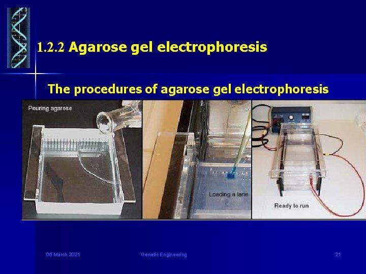 1. 2. 2 Agarose gel electrophoresis The procedures of agarose gel electrophoresis 05 March