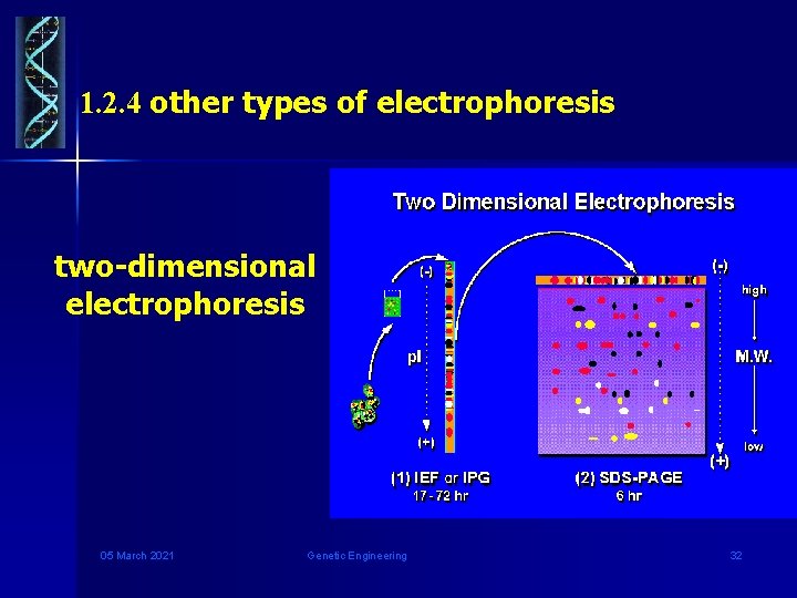 1. 2. 4 other types of electrophoresis two-dimensional electrophoresis 05 March 2021 Genetic Engineering