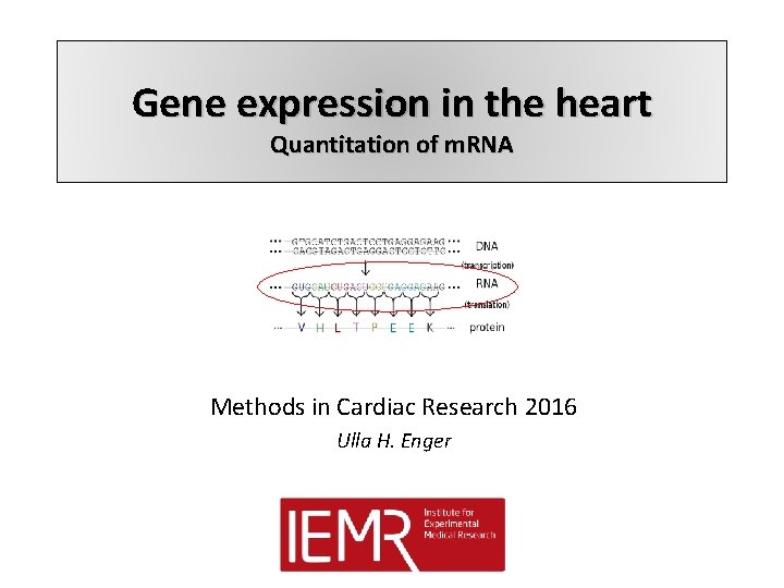Gene expression in the heart Quantitation of m. RNA Methods in Cardiac Research 2016 Gene expression in the heart Quantitation of m. RNA Methods in Cardiac Research 2016