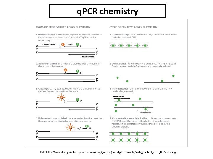 q. PCR chemistry Ref: http: //www 3. appliedbiosystems. com/cms/groups/portal/documents/web_content/cms_052221. png 